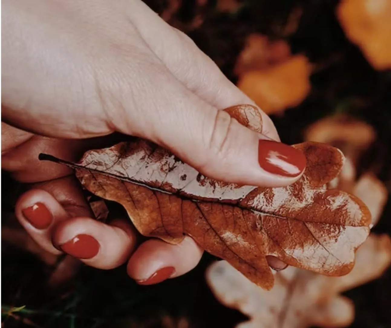 Service in progress — manicurist fitting a nail form to a client's nude nail