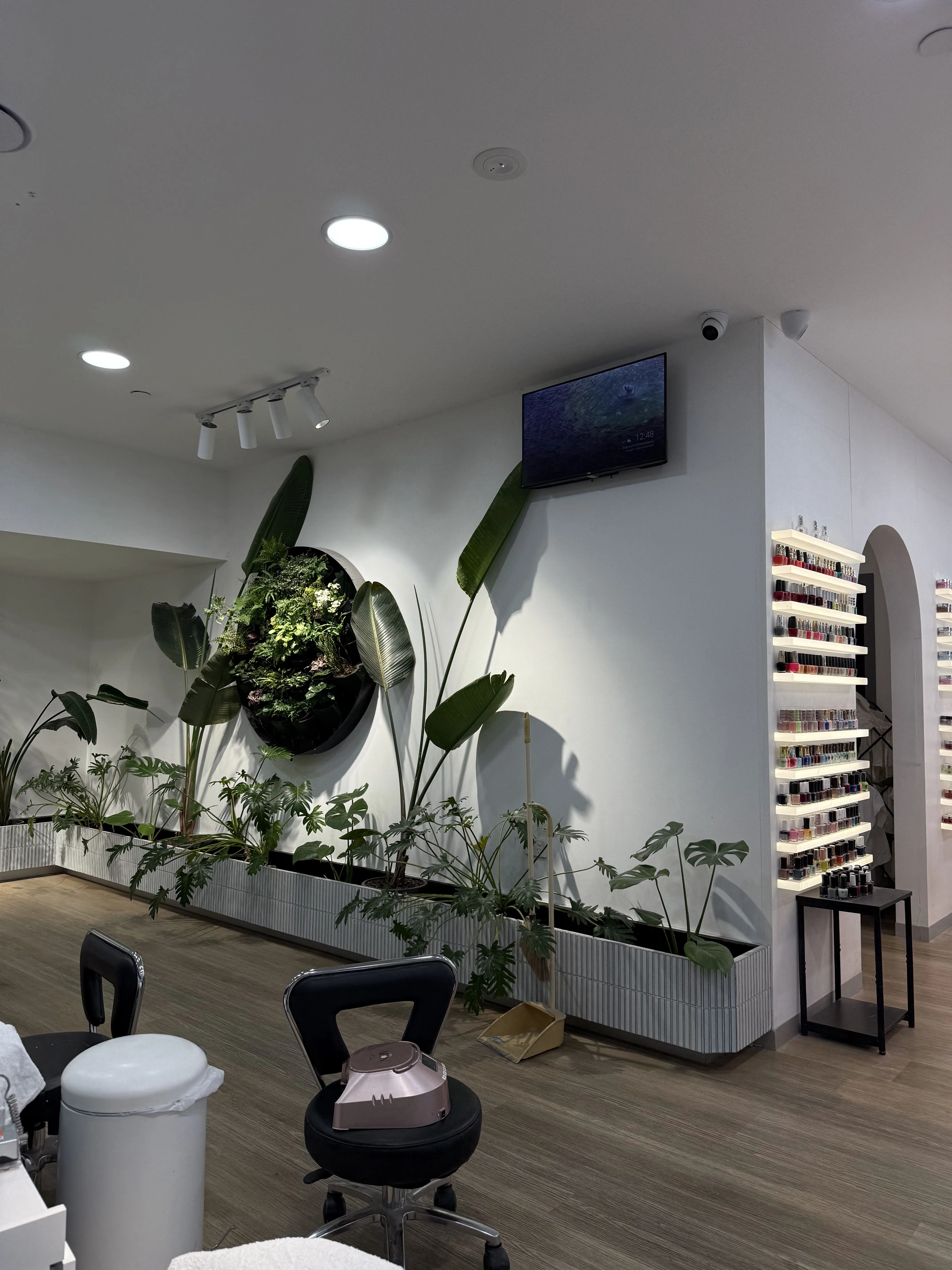 MONSTERA salon interior — circular living-plant porthole wall with banana and monstera leaves, LED nail-polish display shelving